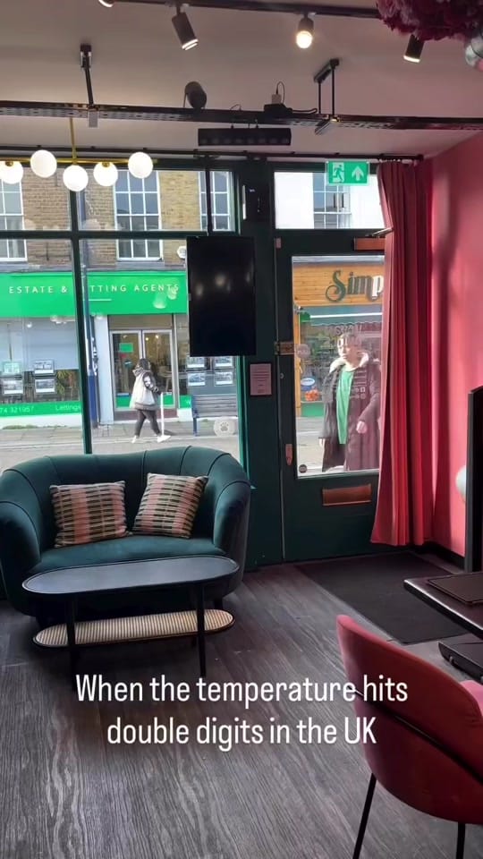 Post 10 by veganantics on TikTok (video)