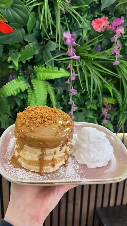 Post 5 by veganantics on TikTok (video)
