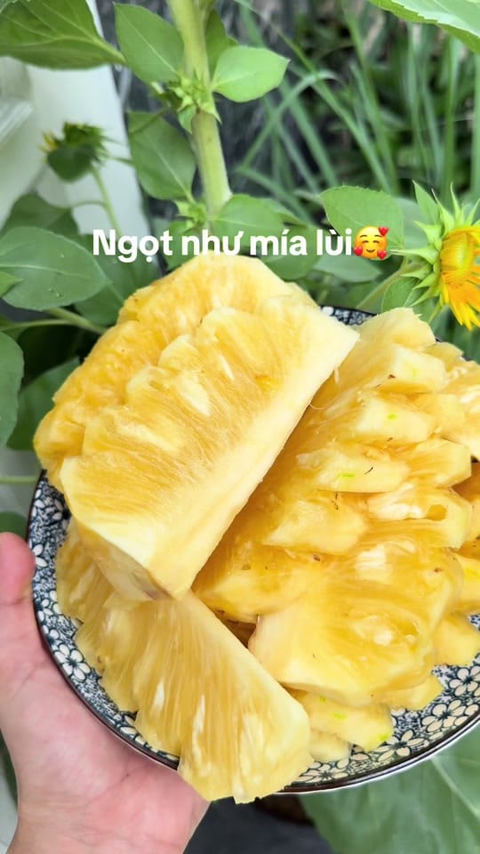 Post 3 by Gà xào sả ớt🌸 on TikTok (video)
