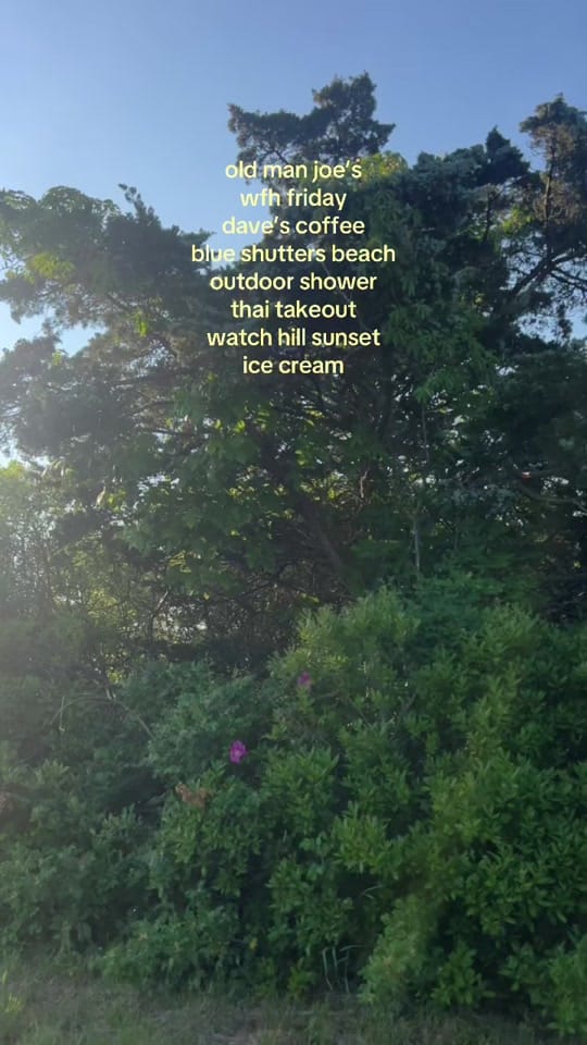 Post 1 by Alexandra Francisco on TikTok (video)