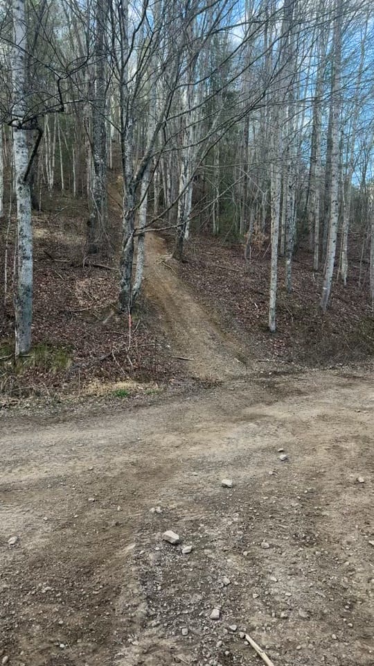 Post 8 by Melinda on TikTok (video)