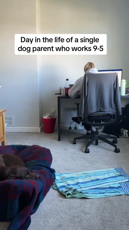 Post 9 by Chief & Charlotte 🤎 on TikTok (video)