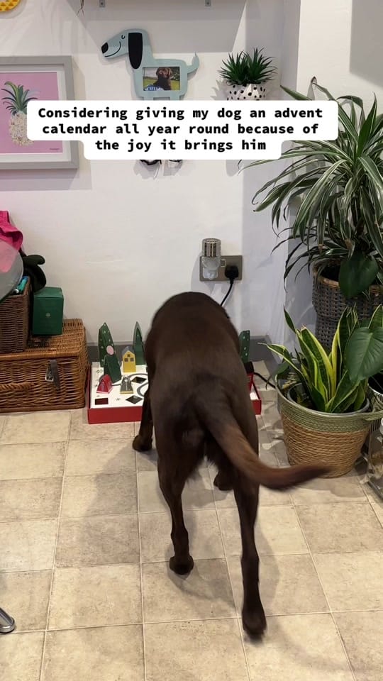 Post 6 by Chief & Charlotte 🤎 on TikTok (video)
