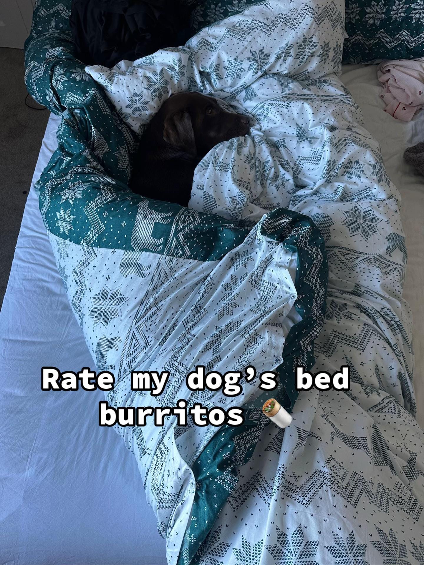 Post 5 by Chief & Charlotte 🤎 on TikTok (video)