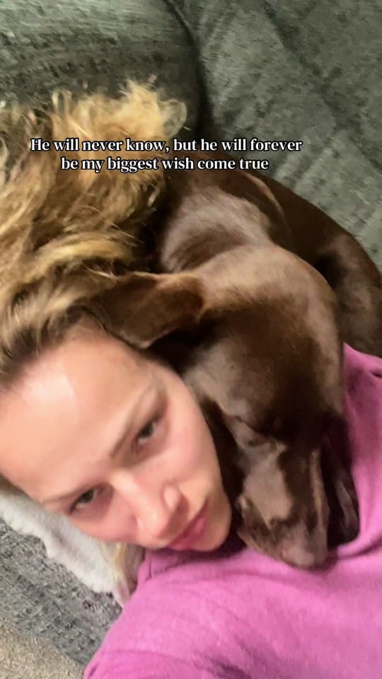 Post 1 by Chief & Charlotte 🤎 on TikTok (video)
