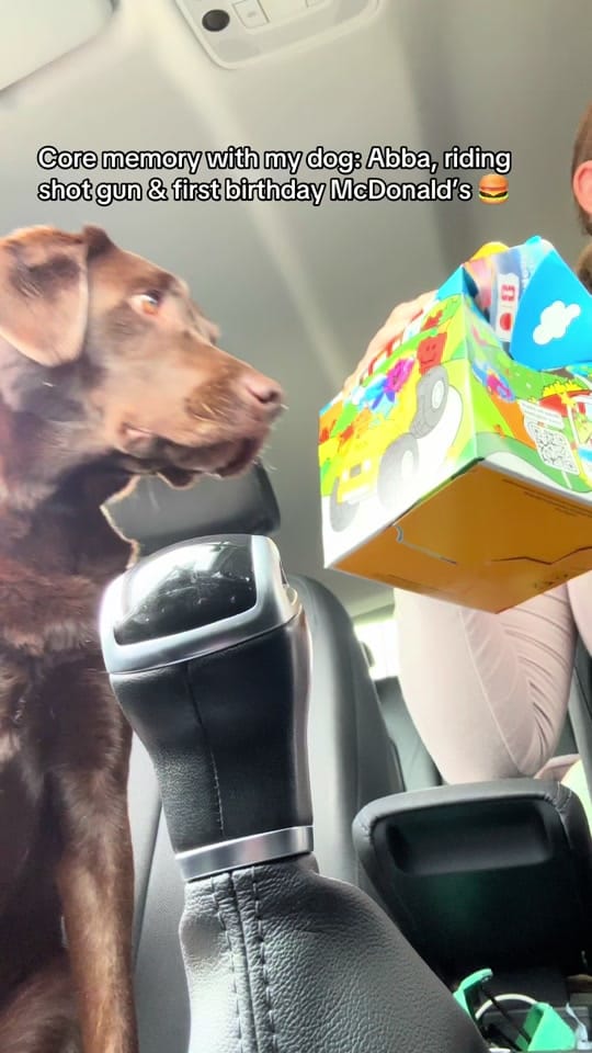 Post 3 by Chief & Charlotte 🤎 on TikTok (video)
