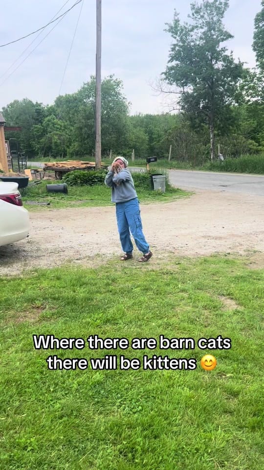 Post 7 by WindyWingFarm on TikTok (video)