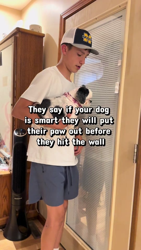 Post 4 by Cayenne on TikTok (video)