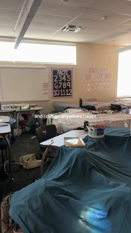 Post 1 by learningwithlauren on TikTok (video)