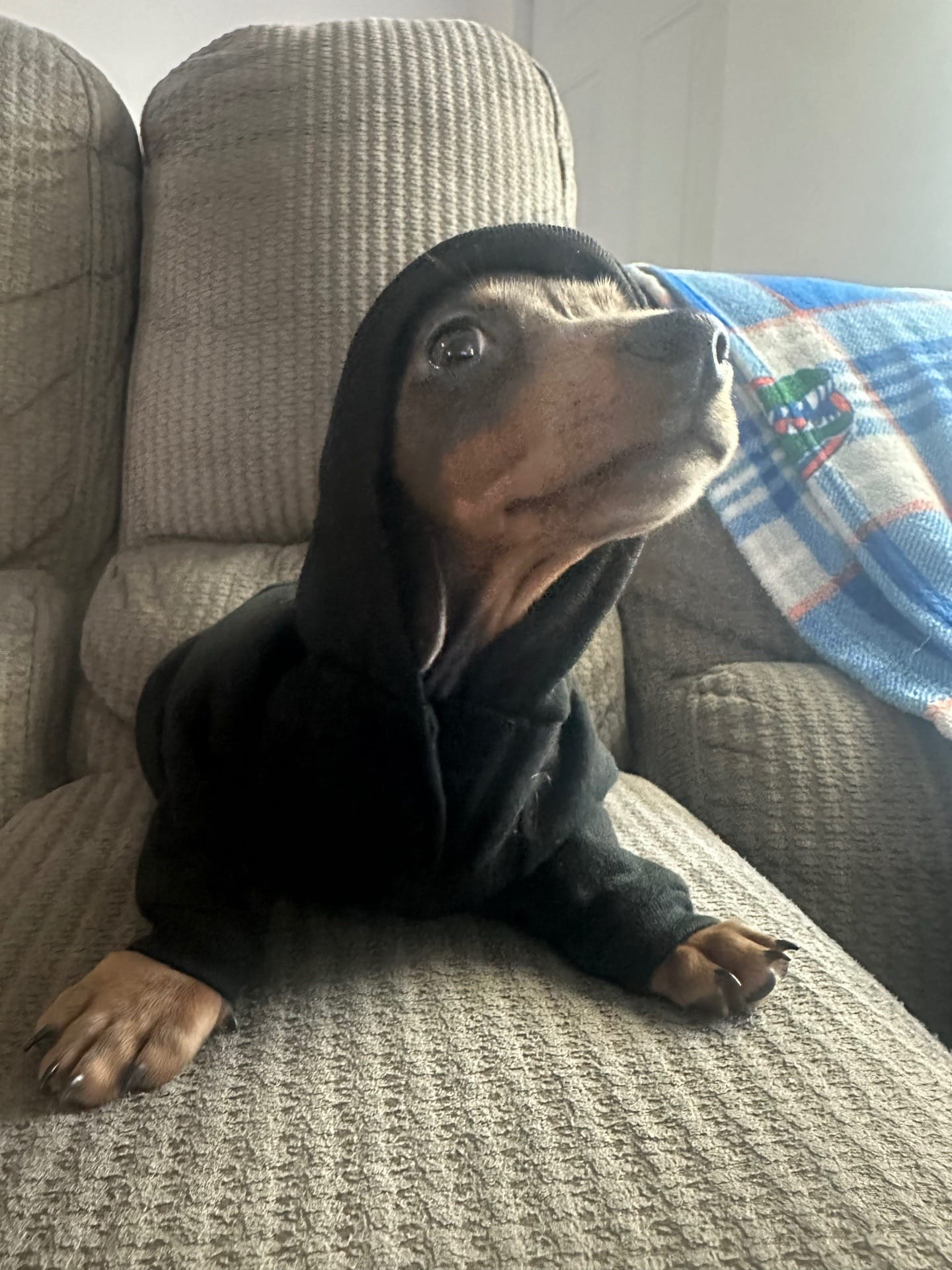 Post 6 by Syddd on TikTok (video)