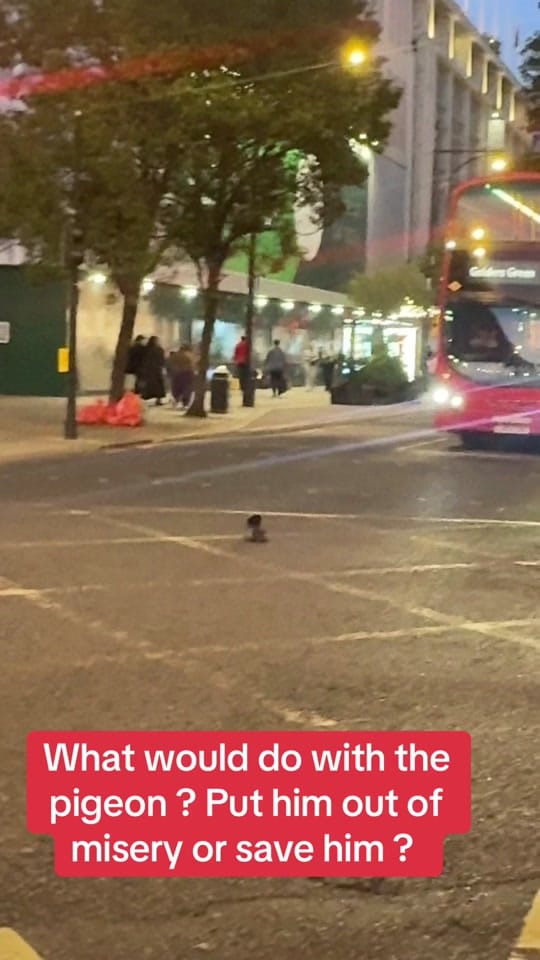 Post 1 by Kicking_Off_TV on TikTok (video)