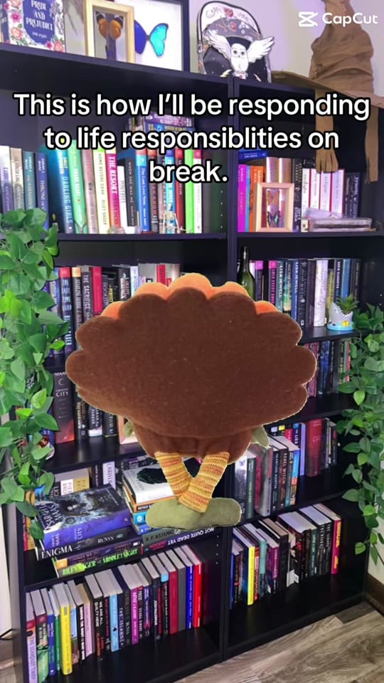 Post 5 by Ashton 🔮📚🌙 on TikTok (video)