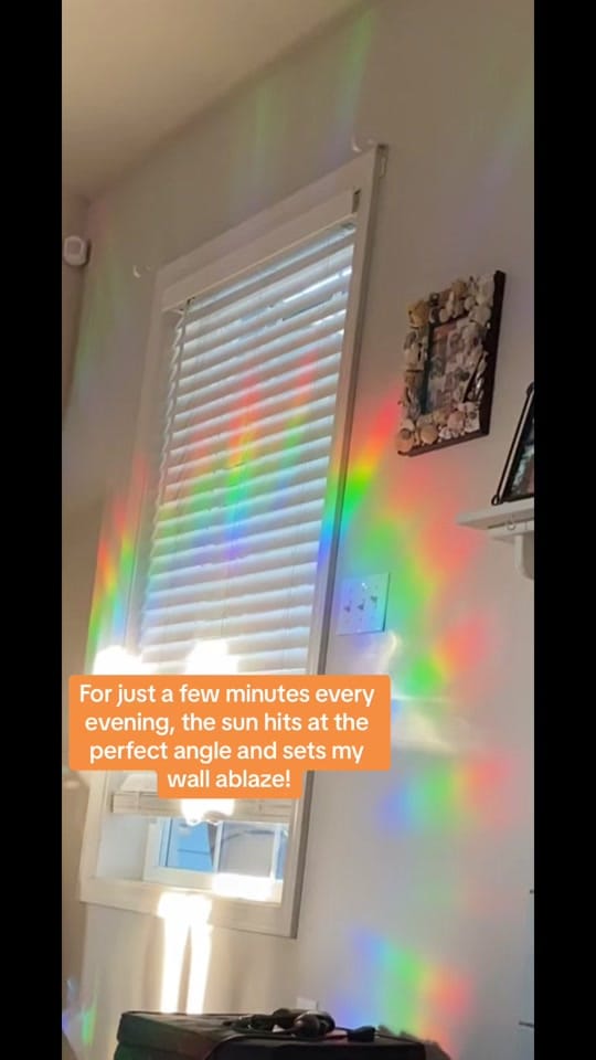 Post 3 by ✨Andrea✨ on TikTok (video)
