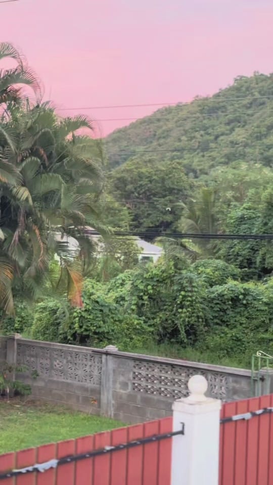 Post 8 by Life With Aneil on TikTok (video)