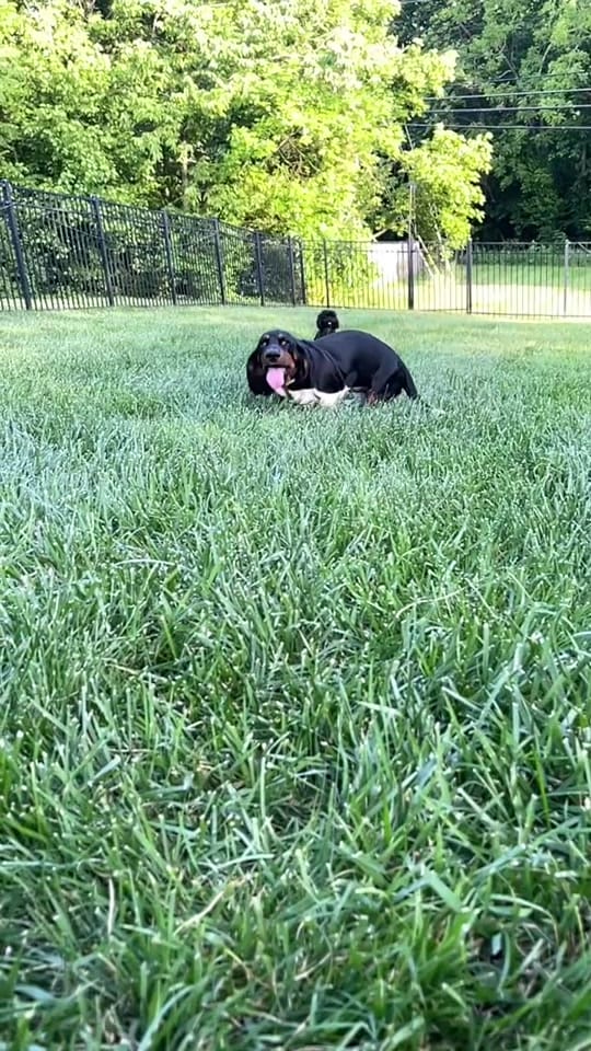 Post 2 by AbigailBrockman on TikTok (video)