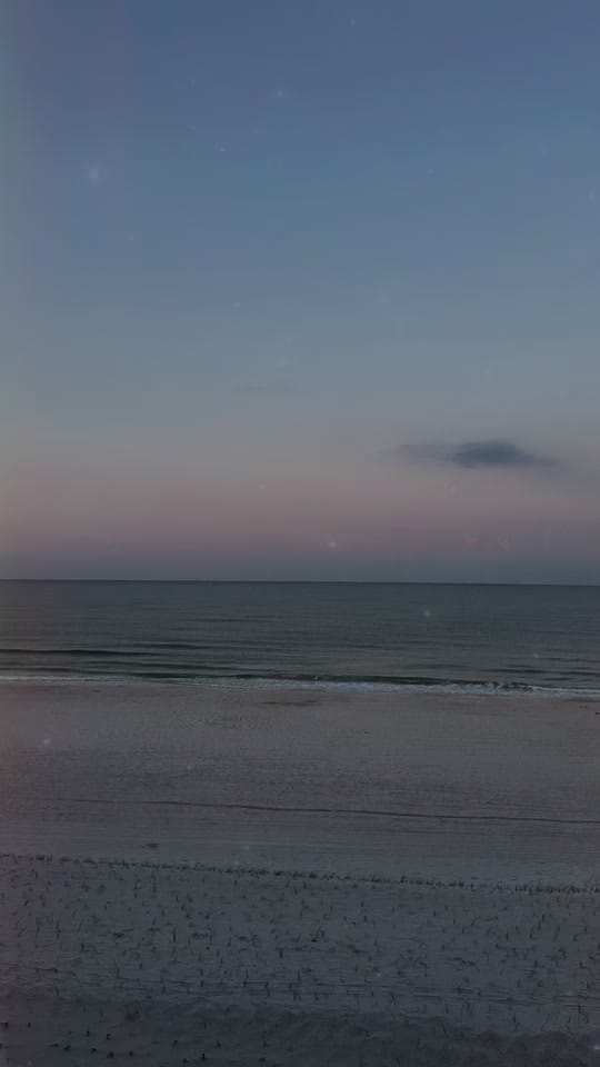 Post 9 by Marie Johns |✝️|👩‍🏫|Gen❌ on TikTok (video)