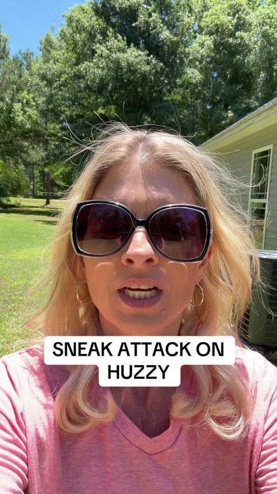 Post 5 by mintconservativemama❌ on TikTok (video)
