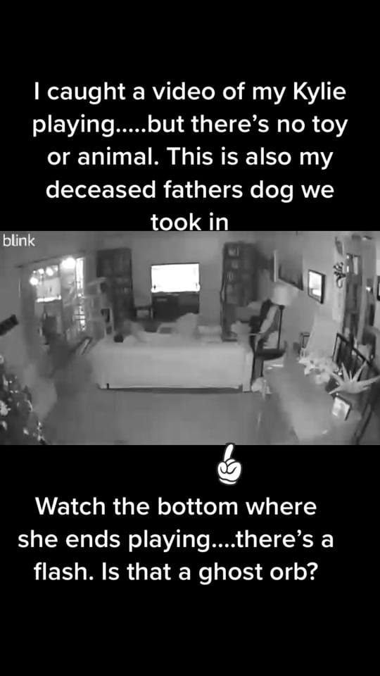 Post 8 by hufflepuffmomma711 on TikTok (video)