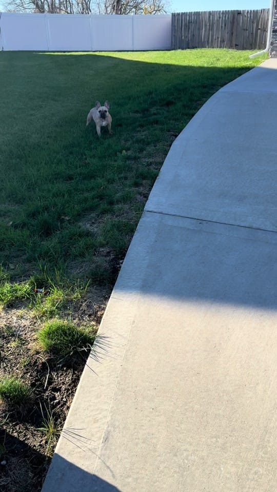 Post 9 by theblairblueprint on TikTok (video)