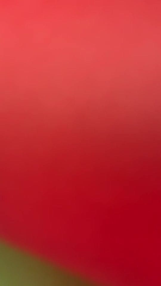 Post 2 by CraftyMsMendoza on TikTok (video)