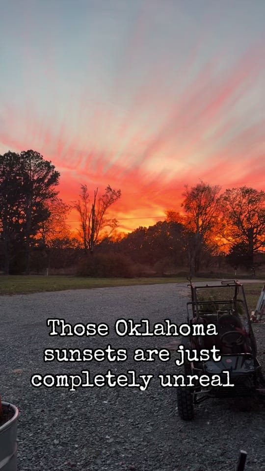Post 10 by Shanda B on TikTok (video)