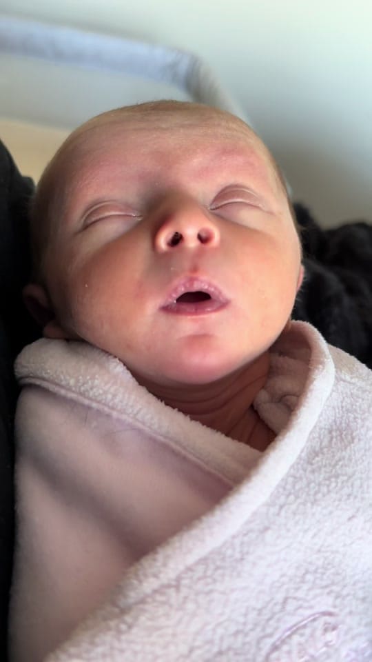 Post 3 by Katie Dierkes on TikTok (video)