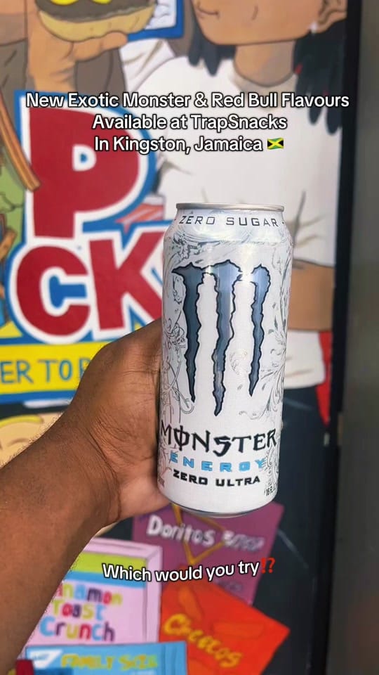 Post 6 by TrapsnacksJA on TikTok (video)