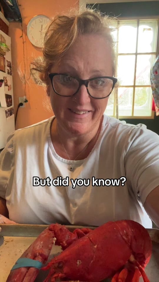 Post 8 by nadinedowneastmaine on TikTok (video)