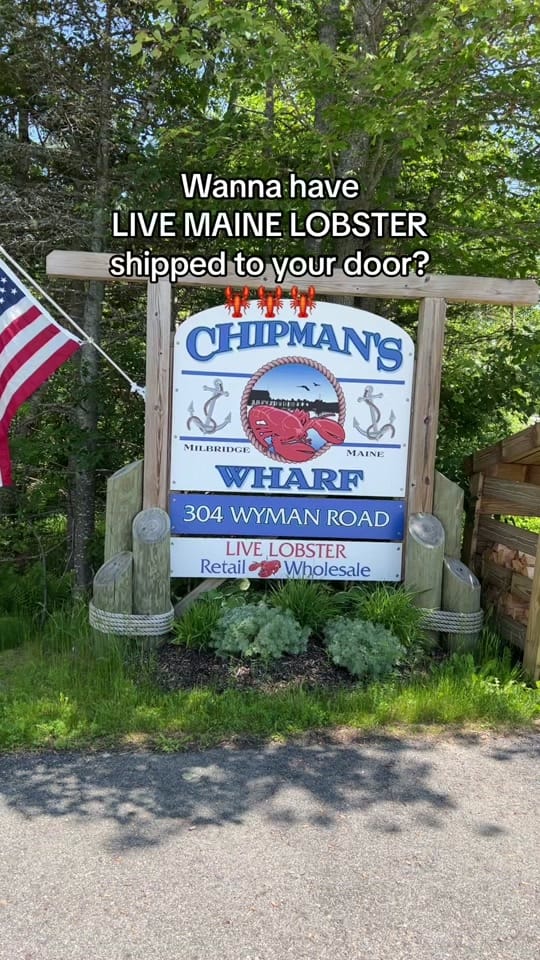 Post 10 by nadinedowneastmaine on TikTok (video)