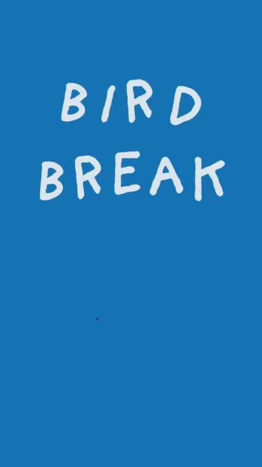 Post 1 by Teacher Tom on TikTok (video)