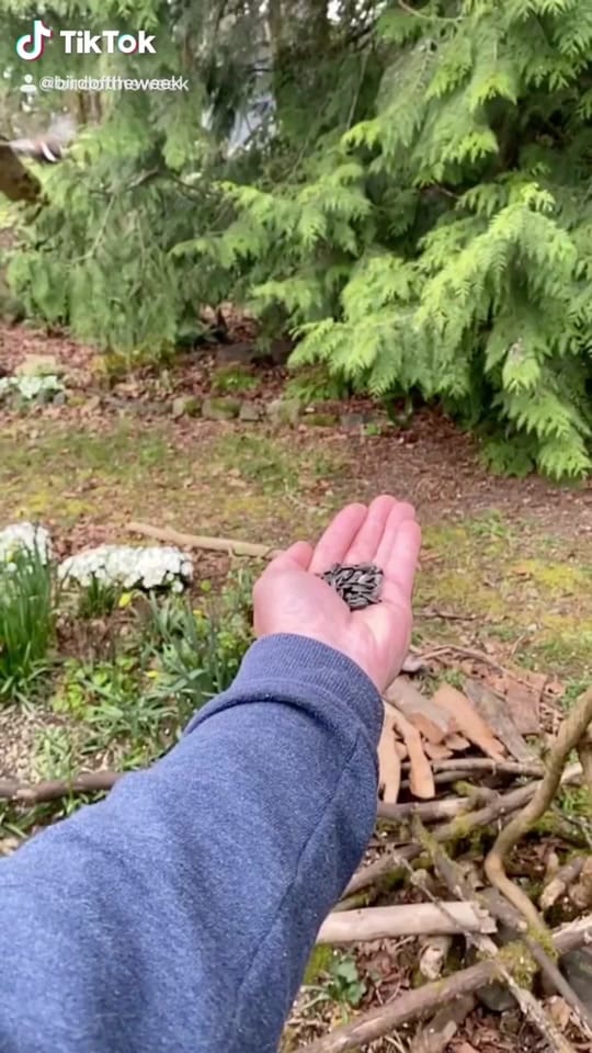 Post 3 by Teacher Tom on TikTok (video)