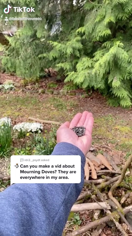 Post 10 by Teacher Tom on TikTok (video)