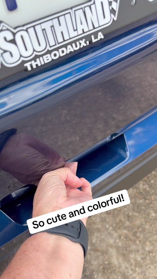 Post 10 by Pampered Bayou on TikTok (video)