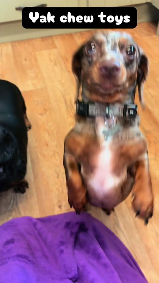 Post 7 by Leannelovescooking on TikTok (video)