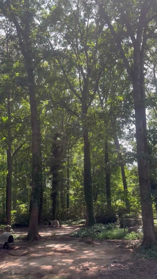 Post 10 by Desire on TikTok (video)