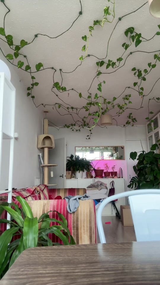 Post 1 by Food with Mae on TikTok (video)