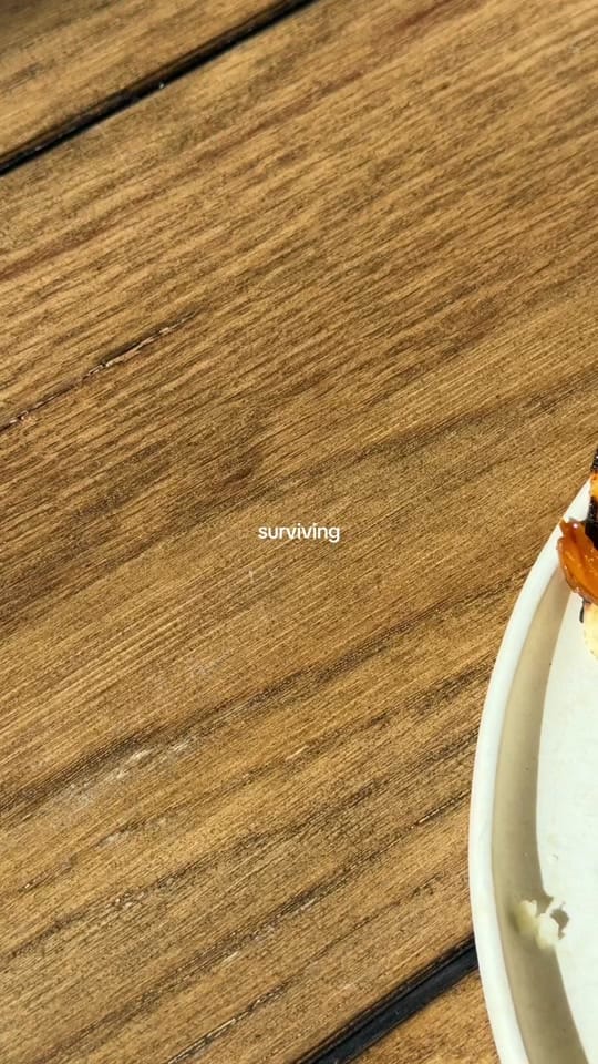 Post 4 by Maddie on TikTok (video)