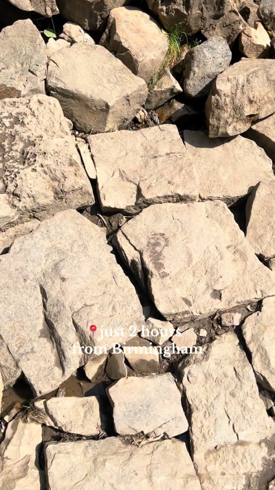 Post 10 by Bella in Brum ✨ on TikTok (video)