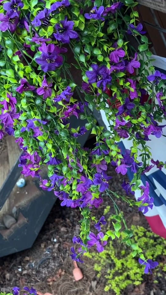 Post 4 by Emily Duncan on TikTok (video)