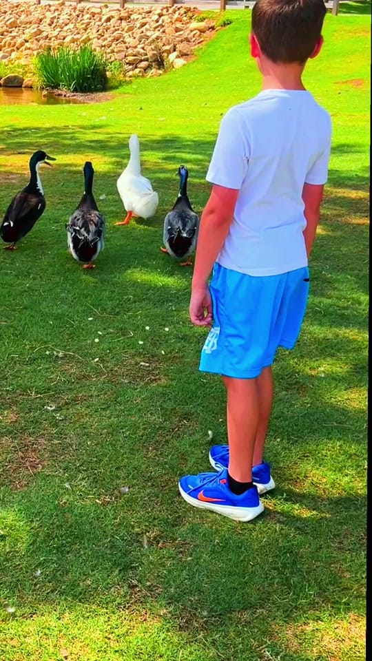 Post 5 by Emily Duncan on TikTok (video)