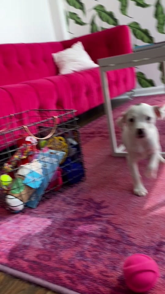 Post 9 by Sarah Weedman on TikTok (video)