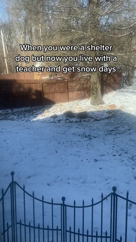Post 7 by Sarah Weedman on TikTok (video)