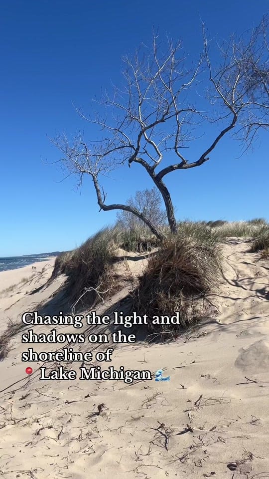 Post 4 by SBuzzitta-JohnsonArt on TikTok (video)