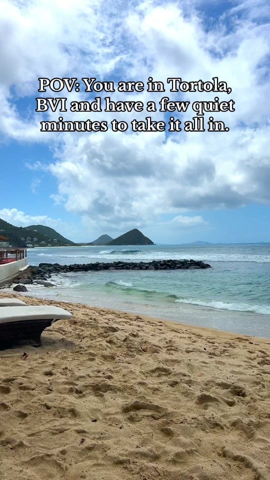 Post 5 by SBuzzitta-JohnsonArt on TikTok (video)