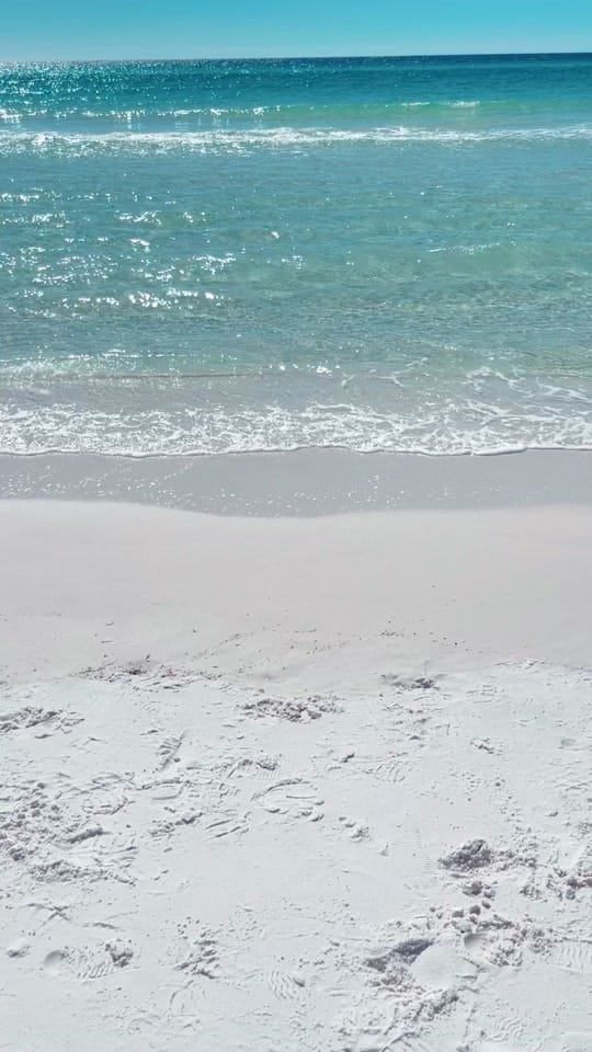 Post 2 by Ashley White Allison on TikTok (video)