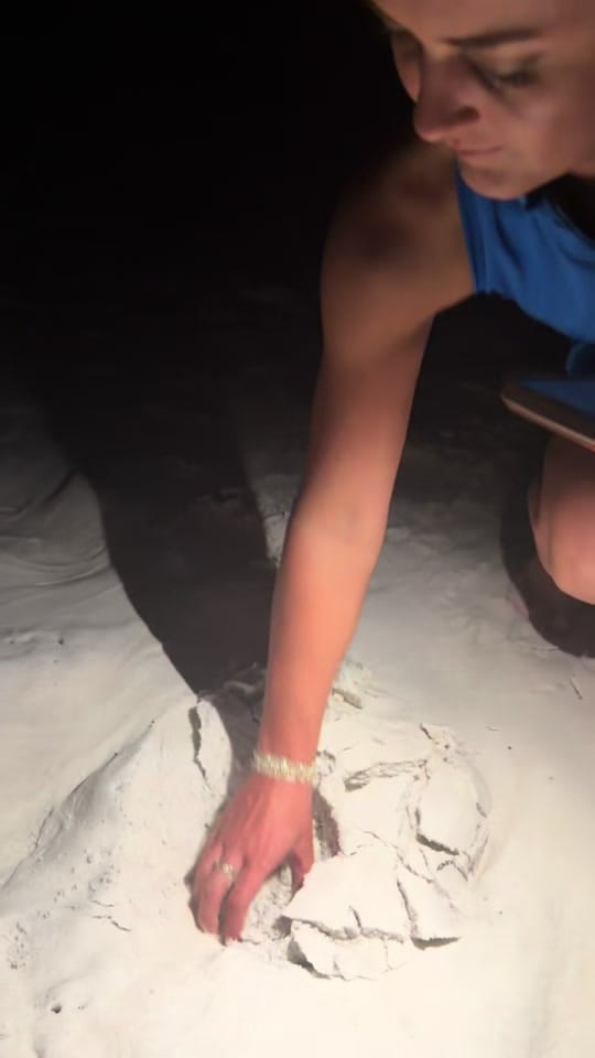 Post 1 by Gracee Mae Carroll on TikTok (video)