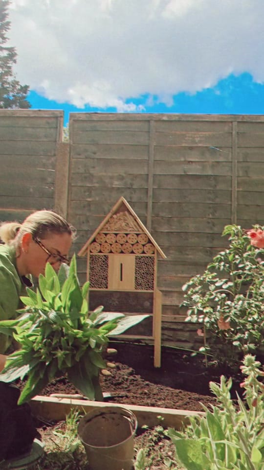 Post 2 by Sophie Price on TikTok (video)