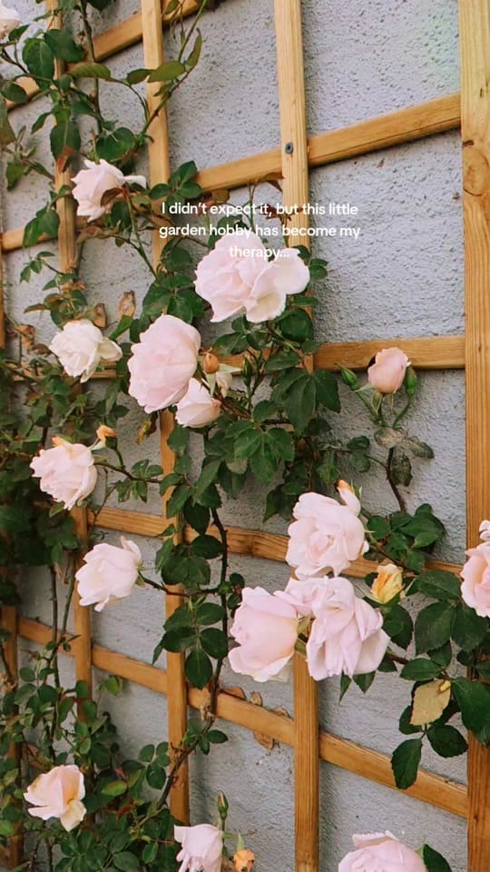 Post 6 by Sophie Price on TikTok (video)