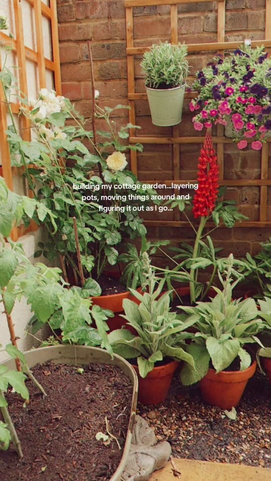 Post 5 by Sophie Price on TikTok (video)