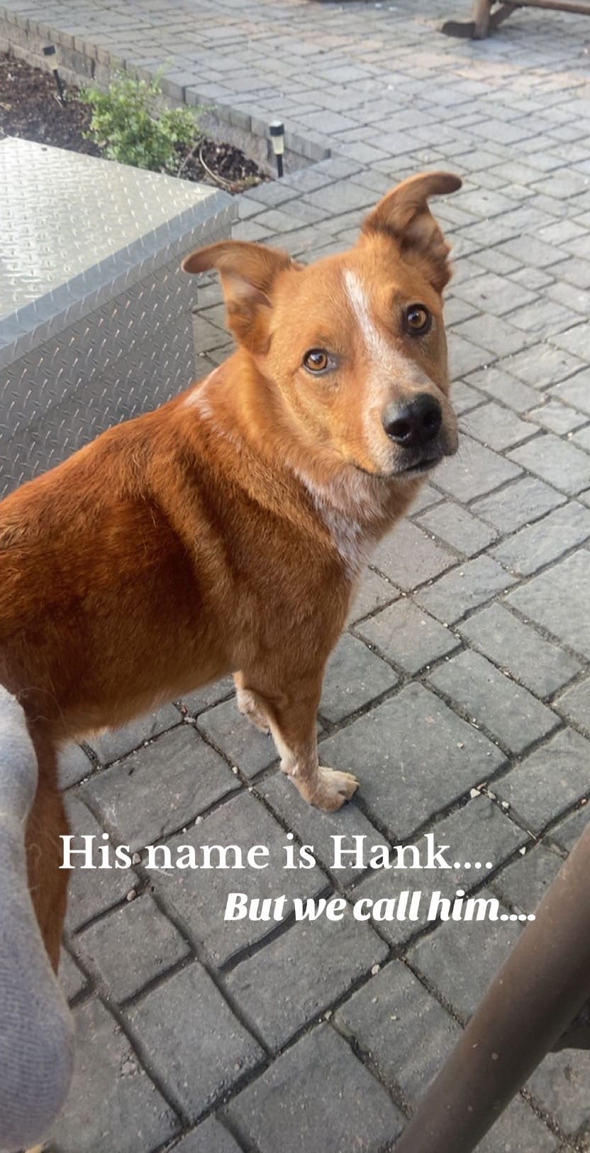 Post 2 by kaitlynn_balch on TikTok (video)